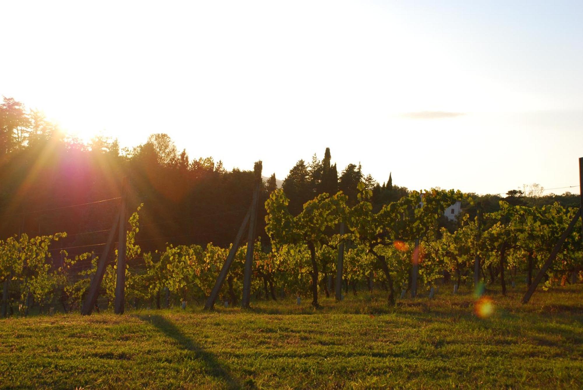Agriturismo Il Sasso อันกิอารี ภายนอก รูปภาพ